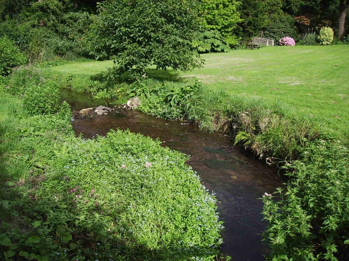 פורלוק Luxury Bed And Breakfast At Bossington Hall In Exmoor, Somerset מראה חיצוני תמונה